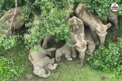 Short video poster image