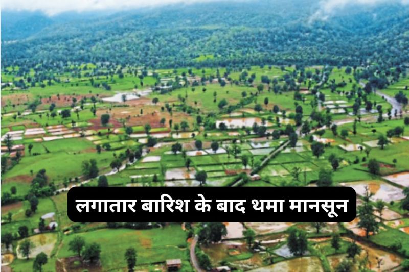 CG News: इस बार कम बरसा पानी, किसानों को मिली राहत लेकिन चिंता बरकरार...(photo-patrika)