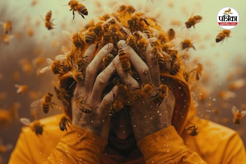 खेत गए किसान पर मधुमक्खियों का हमला (Photo source- Patrika)
