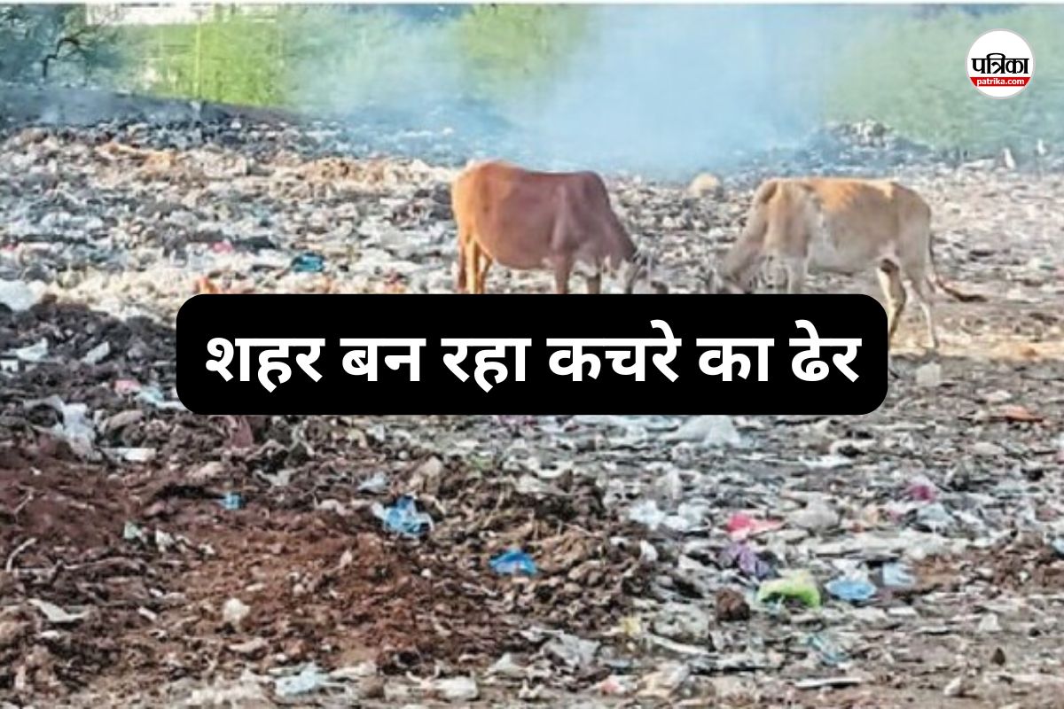 CG News: प्रतिबंध के बावजूद सिंगल यूज पॉलीथिन की धड़ल्ले से बिक्री, शहर बन रहा कचरे का ढेर