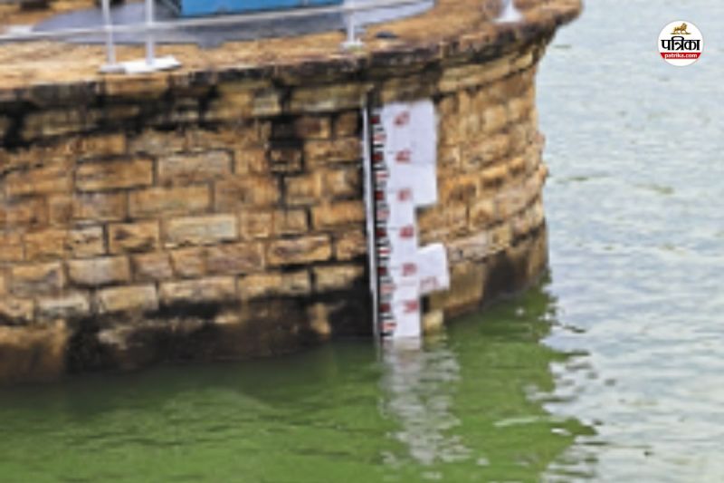 एक फिट पानी भरने के बाद तांदुला जलाशय हो जाएगा ओवरफ्लो, कैचमेंट एरिया में हुई है अच्छी बारिश(photo-patrika)