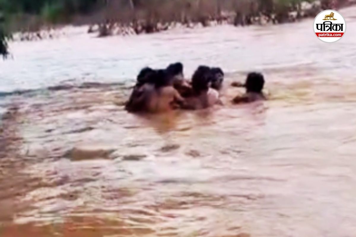 CG News: नदी पार करने ट्यूब ही बना सहारा… वायरल हुआ ग्रामीणों का Video