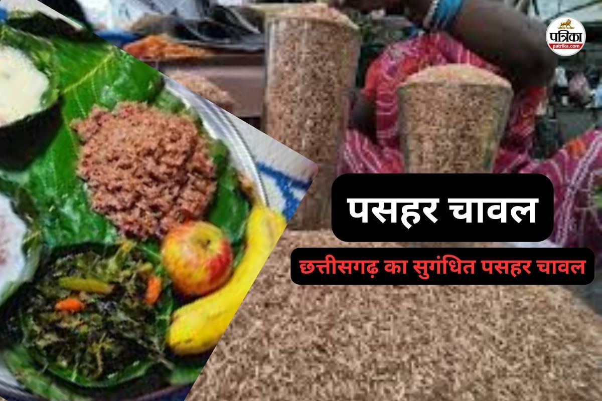 छत्तीसगढ़ का सुगंधित पसहर चावल, त्योहारों और व्रत-पूजा का खास अनाज, जानें मान्यता…