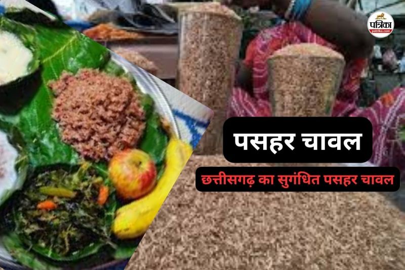 छत्तीसगढ़ का सुगंधित पसहर चावल(photo-patrika)