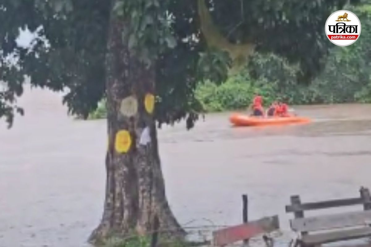 CG News: इंद्रावती नदी में फंसे युवक का नगर सेना ने किया सफल रेस्क्यू, देखें Video