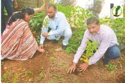 Patrika Harit Pradesh: पौधे लगाकर सुरक्षा का लिया संकल्प, पर्यावरण संरक्षण को
बढ़ावा देने की अपील - image