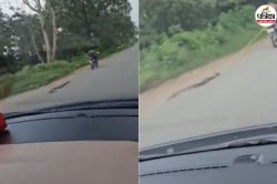 Python Viral Video: अजगर को रस्सी से बाइक पर बांधकर 3-4 KM तक घसीटा, तड़पता रहा
बेजुबान, देखकर कांप जाएगी रूह - image