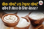 Greek Yogurt probiotic benefits, Regular Yogurt benefits, Greek Yogurt vs Regular Yogurt comparison,