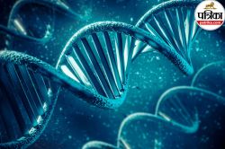 क्या आप जानते हैं? एक DNA स्विच ने हमें बनाया खास इंसान - image