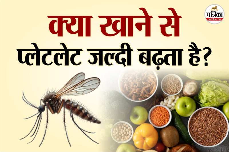 Dengue, Platelets, eating, Dengue diet foods, Foods to increase platelets,