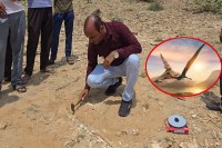 Dinosaur Fossils in Jaisalmer