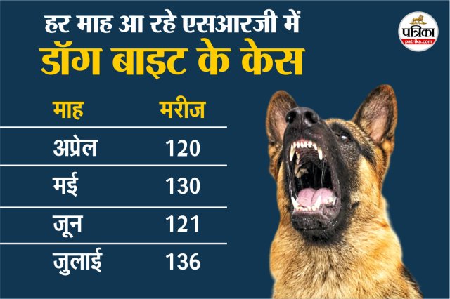 Dog Bite