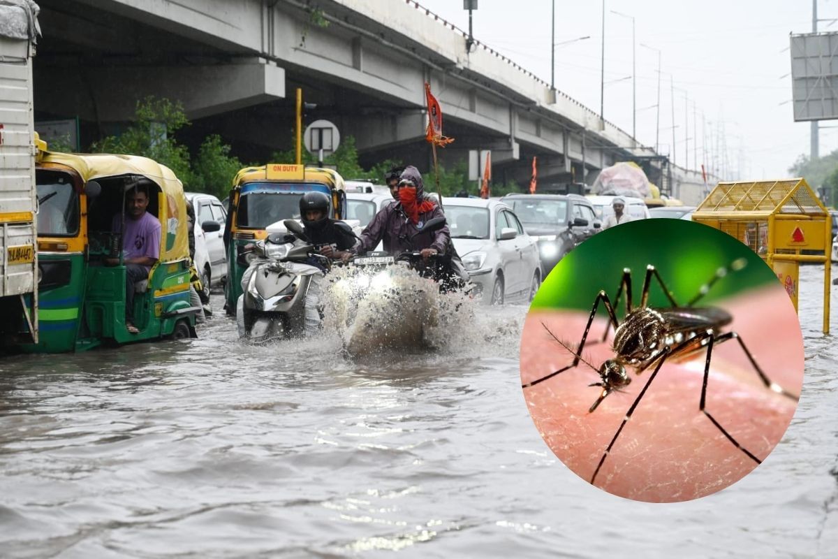 Alert: दिल्ली में मौसम का डबल अटैक! डेंगू और मलेरिया के मामले बढ़े, कई साल के
रिकॉर्ड टूटे, अलर्ट