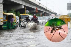 Alert: दिल्ली में मौसम का डबल अटैक! डेंगू और मलेरिया के मामले बढ़े, कई साल के
रिकॉर्ड टूटे, अलर्ट - image