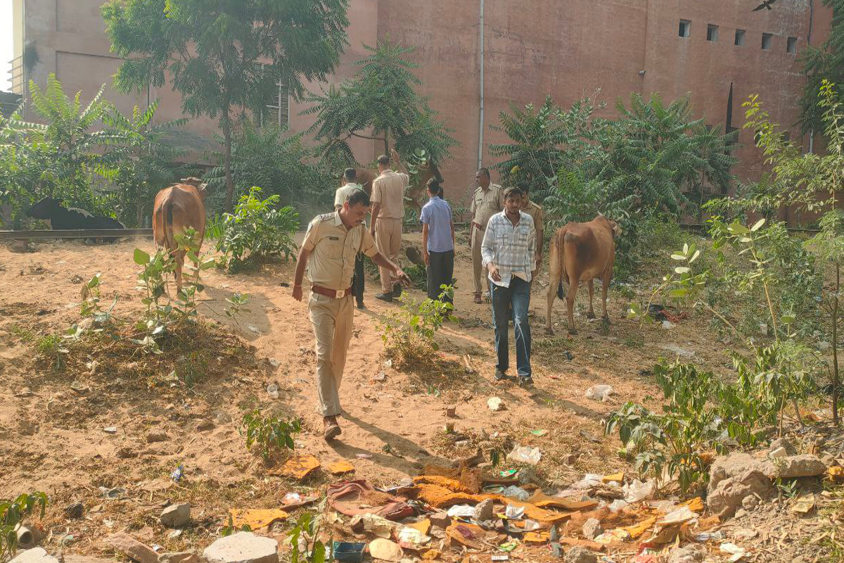 Embryos of newborn twins buried in the ground