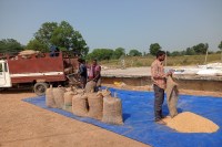 CG News: प्रदेश में समर्थन मूल्य पर 15 नवंबर से होगी धान खरीदी, मुख्यमंत्री ने किया ऐलान