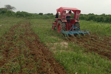 पानी भरने से सोयाबीन व उड़द की फसल हुई खराब