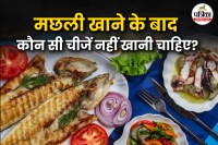 foods to avoid after eating fish, Fish food mixing danger,
