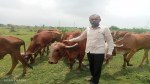 Sanand