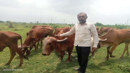 Sanand