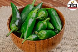 Green Chilli Benefits: खाली पेट हरी मिर्च खाने से पाचन होगा दुरुस्त, जानें इसके
फायदे - image