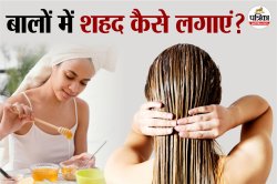 Honey Benefits For Hair: डैंड्रफ से लेकर हेयर फॉल तक, शहद से पाएं हर समस्या का
समाधान - image