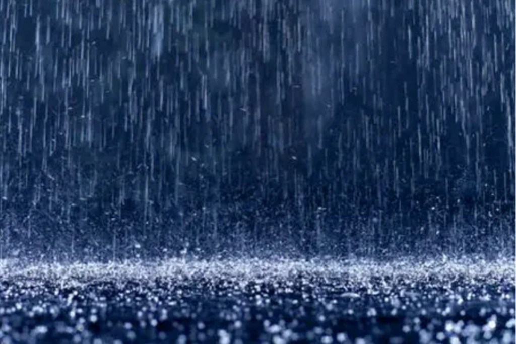Heavy Rain Alert