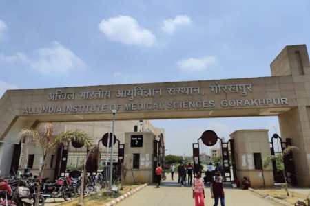 Up news, gorakhpur, aiims news