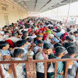 सांपों वाले बाबा लोकदेवता हरिराम बाबा धाम में उमड़ा श्रद्धालुओं का सैलाब - image