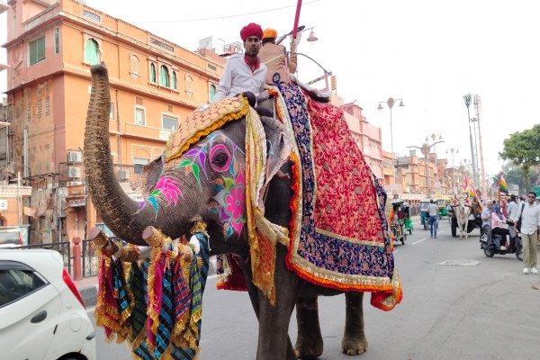 इसके बाद शाही लवाजमा, बैंडबाजों के साथ शोभायात्रा भजन-कीर्तन करते हुए जौहरी बाजार, त्रिपोलिया बाजार, चौड़ा रास्ता होते हुए रात दस बजे गोपालजी के मंदिर पहुंचेगी।
