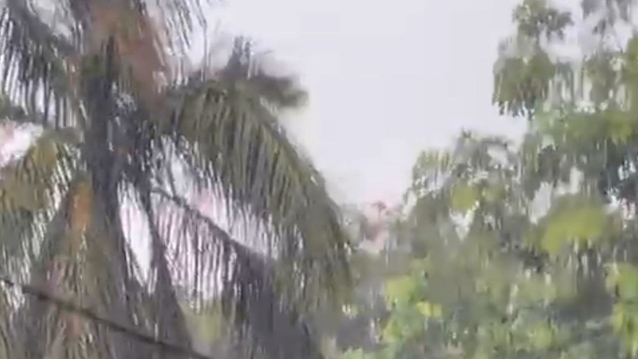 NDMAEW की तरफ से जारी किया गया अलर्ट (फोटो सोर्स- पत्रिका वीडियो ग्रैब)