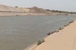 Rajasthan: बीकानेर में इंदिरा गांधी नहर में डूबने 3 दोस्तों की मौत, घर से बिना
बताए निकले थे; मचा कोहराम - image