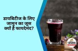 Jamun Juice Health Benefits : जामुन का जूस क्या यह सच में ब्लड शुगर को कंट्रोल
कर सकता है? आयुर्वेदिक विशेषज्ञ से जानिए - image
