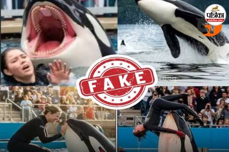 Jessica Radcliffe Orca Attack Video
