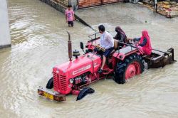Rajasthan Rain: 30 मिनट की अतिभारी बारिश से घरों में घुसा पानी, टूटे संपर्क, 1
युवक की दर्दनाक मौत - image