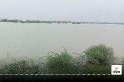 राजस्थान में मानसून की मेहरबानी, झिलमिली बांध में 12 फीट पानी, इन गांवों को होगा
फायदा - image