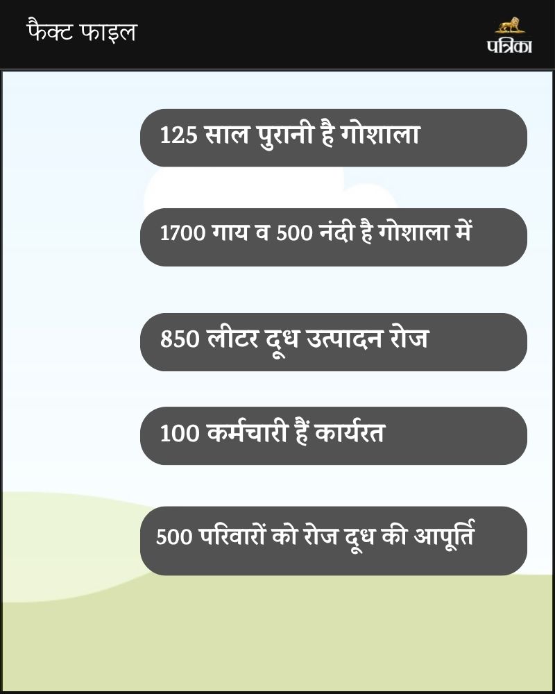 Jhunjhunu cows will sit on mats 