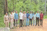पांच दंतैल हाथियों का दल (Photo source- Patrika)