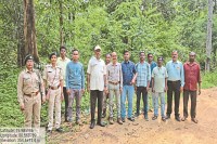 पांच दंतैल हाथियों का दल (Photo source- Patrika)