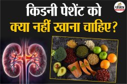 Foods To Eat For Kidney Failure: किडनी फेलियर से बचना है? तो डाइट में जरूर शामिल
करें ये चीजें - image
