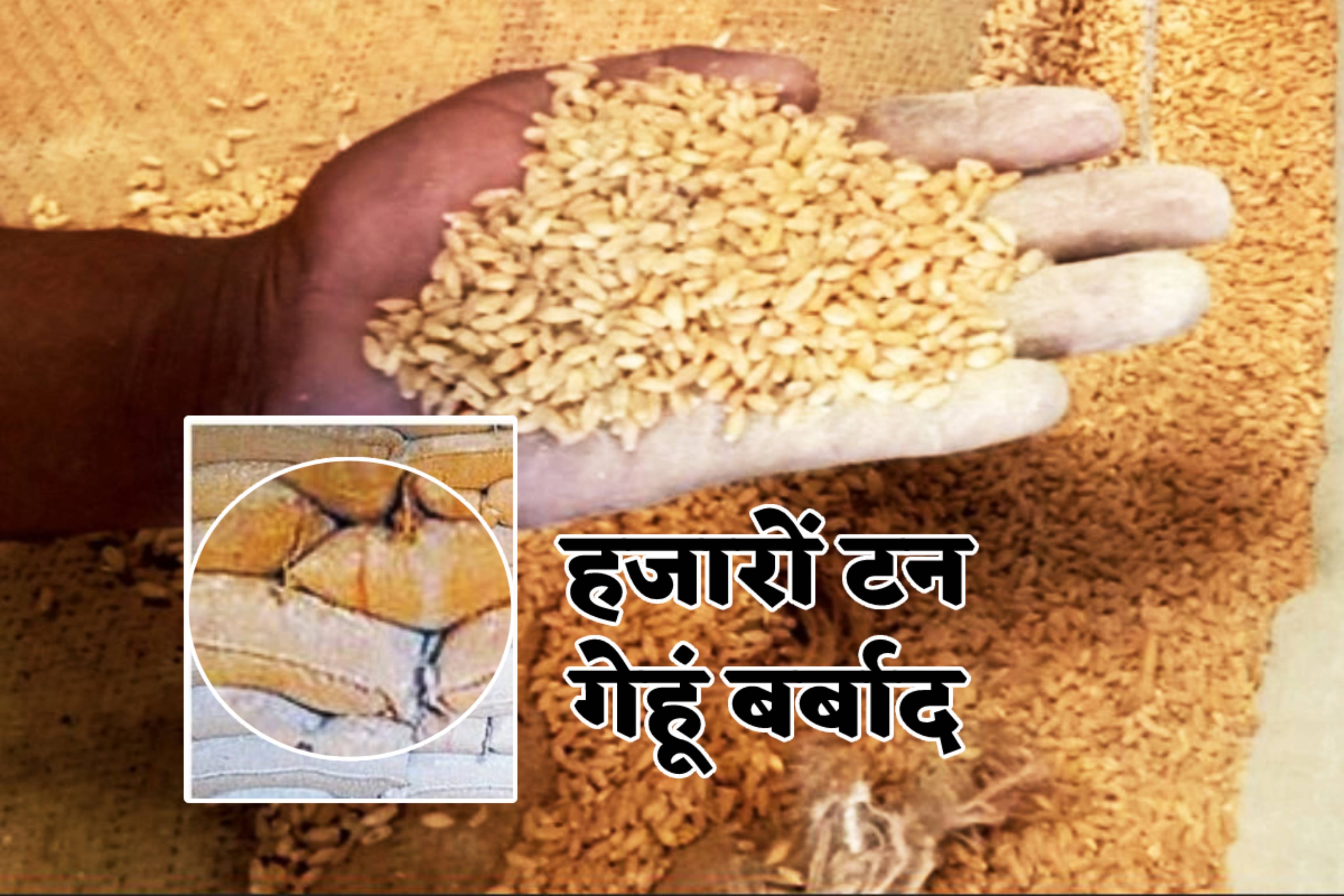 Katni News