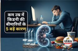 Kidney Disease : 20-25 की उम्र में क्यों बढ़ रही किडनी की बीमारी? 5 कारण, 7
संकेत और बचने के आसान उपाय - image
