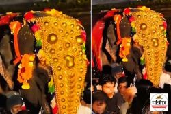 मठ से ‘माधुरी’ हथिनी को वनतारा भेजे जाने का भारी विरोध, लोगों ने मौन जुलूस
निकाला, Jio पर भी फूटा गुस्सा - image