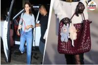 Labubu Doll Worship Viral Video