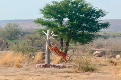 भीमलत के जोन-3 में टाइगर सफारी शुरू होने की बढ़ी उम्मीद, 24 घंटे निगरानी में
रहेगा जंगल - image