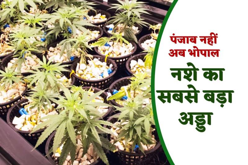 MD Drugs caught in bhopal