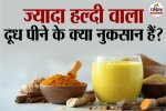 Turmeric, Turmeric Side Effects, turmeric milk,Turmeric Milk Side Effects in Hindi,