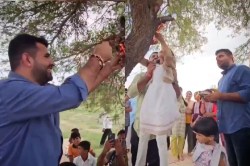 रक्षाबंधन के दिन MLA रविंद्र भाटी की अनूठी पहल, खेजड़ी को बांधी राखी; पर्यावरण
संरक्षण का लिया संकल्प - image