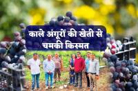 MP Farmer Luck shine by Black Grapes Production