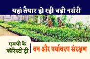 MP News